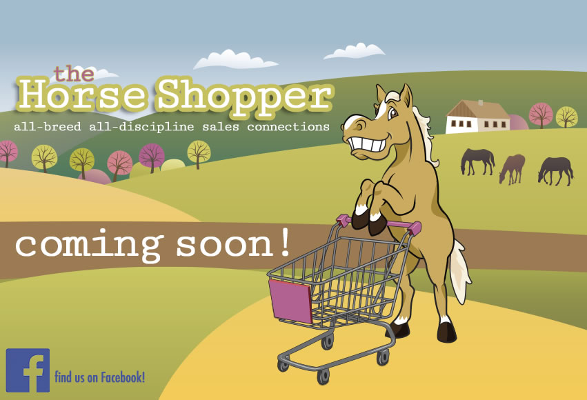 The Horse Shopper